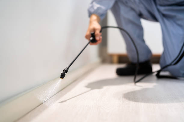 Professional exterminator conducting IPM assessment in Gresham Park